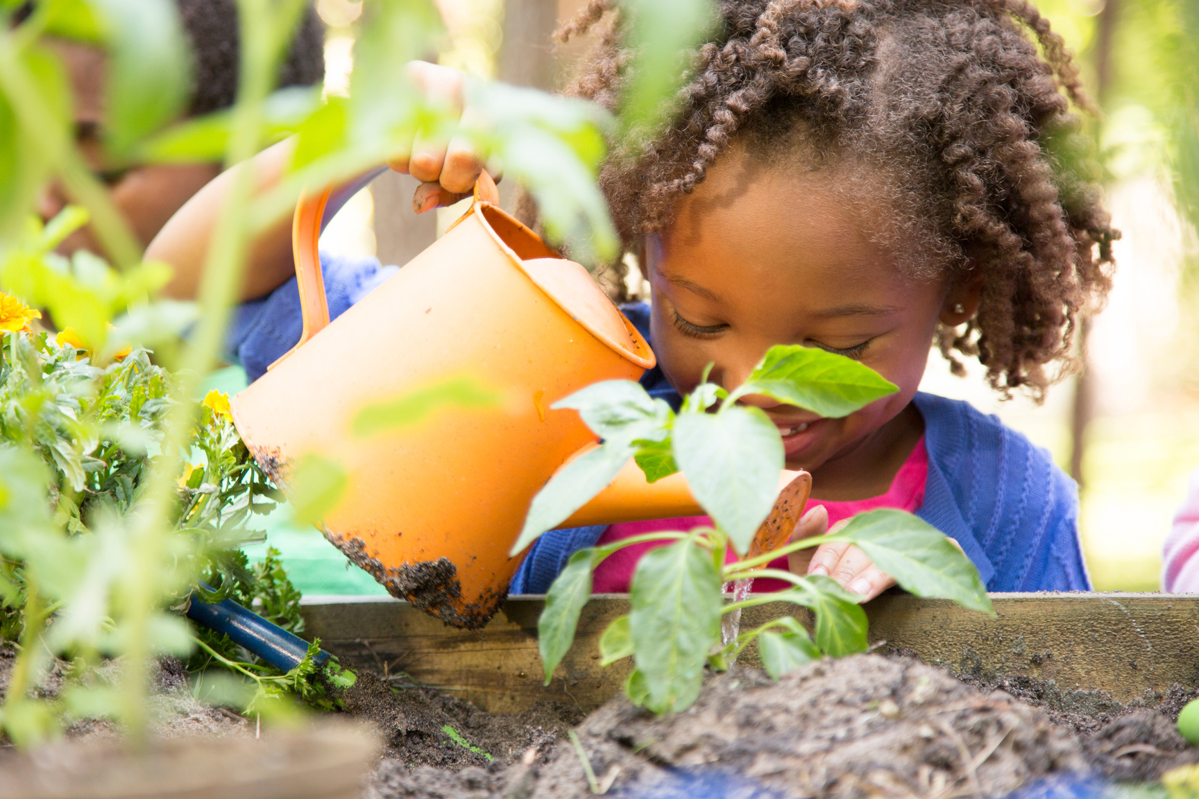 Children gardening outdoors in spring.