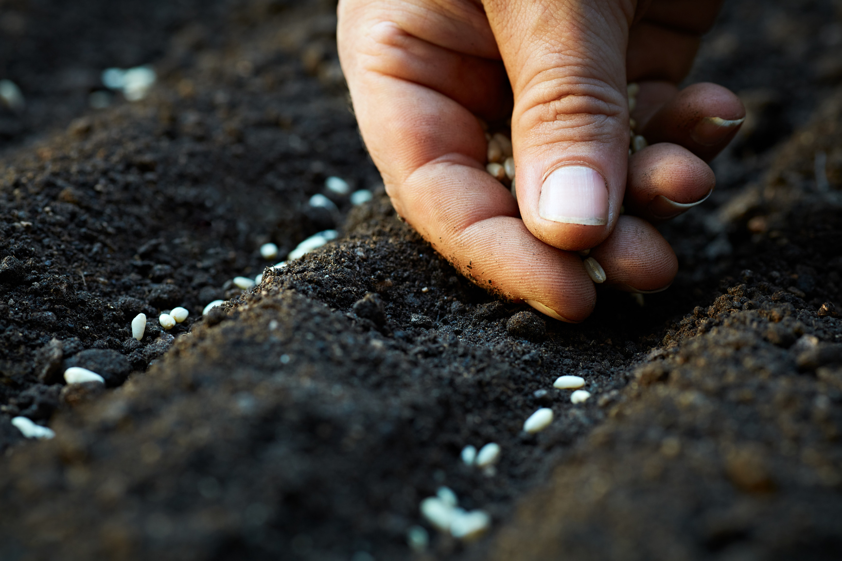 Planting seeds